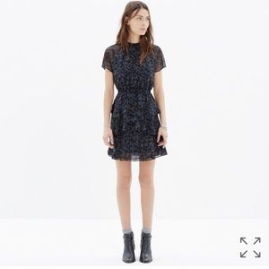 Madewell Radiant Inn Dress